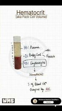 What Is Hematocrit (Hct)? Easy Guide To HCT In CBC
