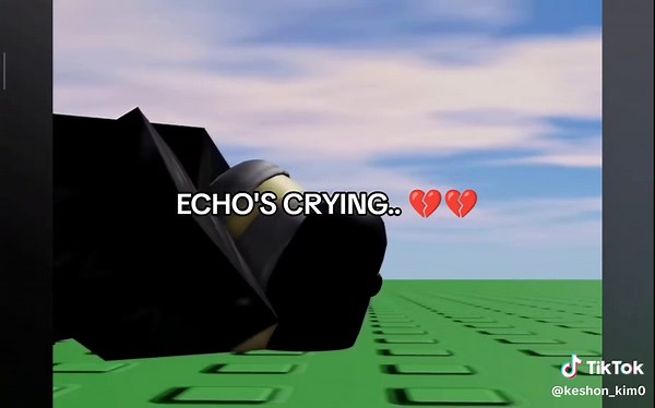ECHO'S CRYING: An Emotional Roblox Journey