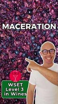 Pre- vs Post-Fermentation Maceration | WSET Level 3 in Wines #WSETLevel3 #winemaking