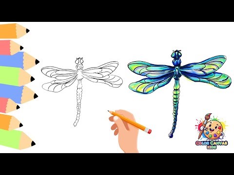 How to draw a Dragonfly | Simple Step-by-Step Drawing and Coloring Fun for Kids