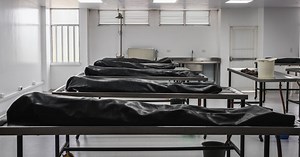 Careers in Pathology/Biology