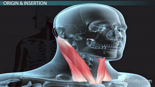 You must c C reate an account to continue watching