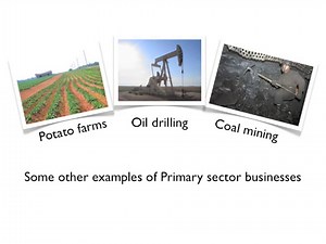 P3 & M2 - The Classification of Businesses