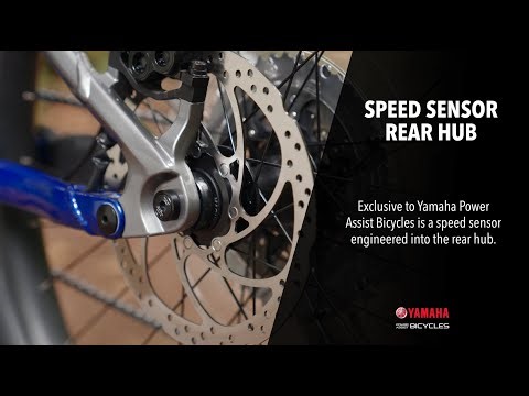 Speed Sensor Rear Hub