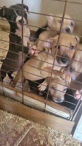 4.2K views · 157 reactions | Polar x Black Girl...