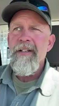 Lineman works to rescue bear who climbed a utility pole in Cochise County