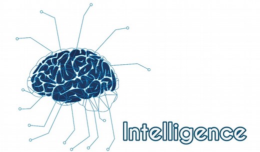How To Know a Person with Low Intelligence: 10 Revealing Signs - Bscholarly
