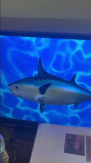 SpongeBob SquarePants Fish Logo (2015)