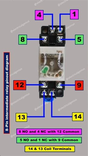 8-Pin Intermediate Relay Wiring Layout | 8-Pin Relay Socket Connection Map #shorts