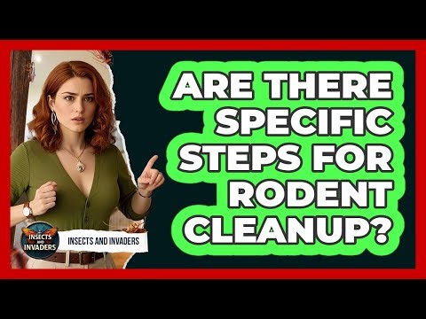 Are There Specific Steps For Rodent Cleanup?