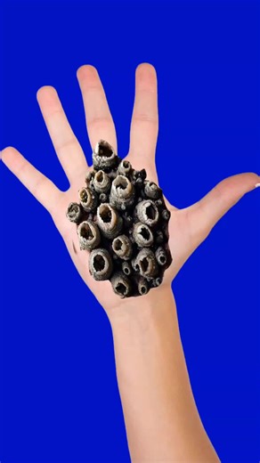 ASMR Animation for Treating Infected Hand