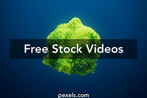 Green Screen Animation Videos, Download The BEST Free 4k Stock Video Footage & Green Screen Animation HD Video Clips