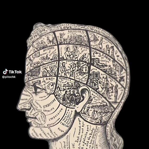 And on the inside… we actually look beautiful. #neuroscience #biology#brain#edit#humanity