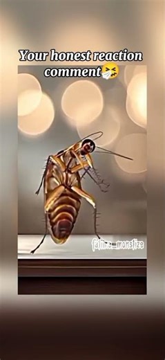 Cockroach Dance 😂 | Babymonster Drip Song Funny Edit | #babymonster #kpop #viral #fypviralシ #shorts
