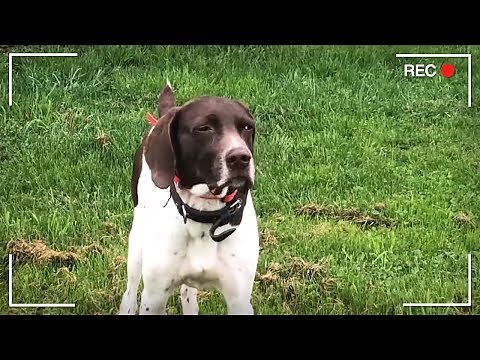 More Weird Youtube Channels