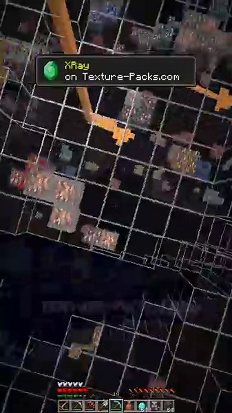 😲 XRAY Texture Pack (MCPE/Minecraft PE/Bedrock)