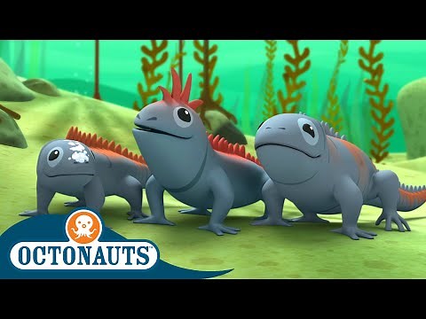 ‪@Octonauts‬ - The Marine Iguanas | Full Episode 41 | Cartoons for Kids | Underwater Sea Education