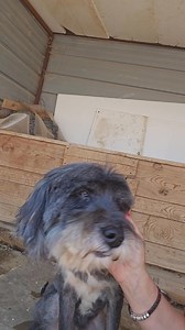 145K views · 2.8K reactions | APPLICATIONS CLOSED DUE TO HIGH VOLUME...