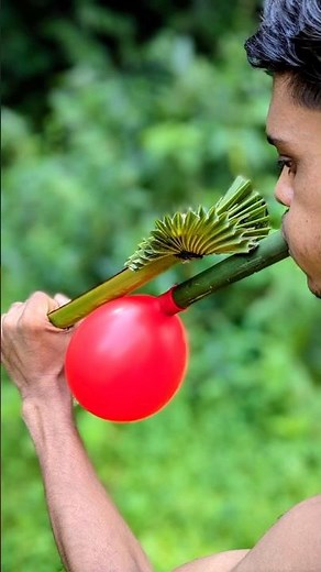 New Idea Balloon Popper Made from Bamboo and Palm Branch