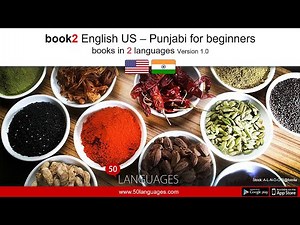 Learn Punjabi for Beginners in the USA - 100 Easy Lessons