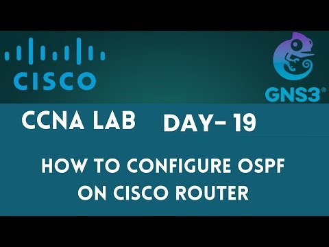 How to Configure OSFP In Cisco Router | CCNA Lab - Day 19