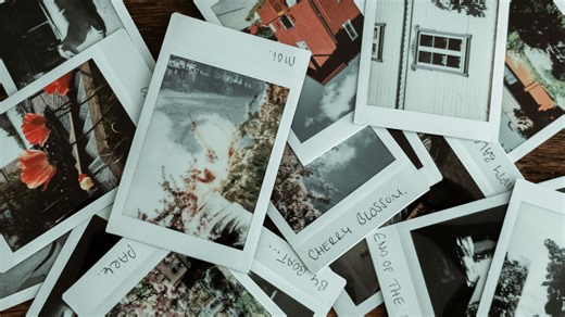 How to Run a Reverse Image Search