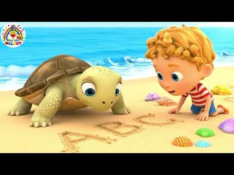 The Turtle Who Taught the Alphabet | ABC Learning Song for Kids + More Nursery Rhymes
