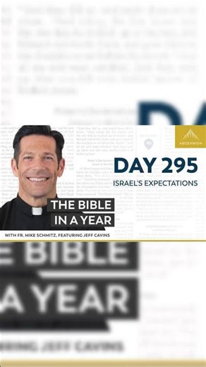 Day 295 BIY In Action