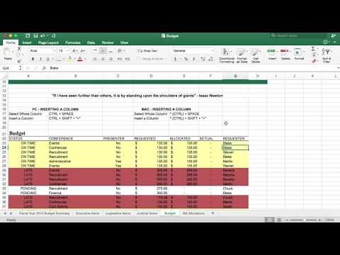 Excel - Inserting A Column with Keyboard Shortcuts - Mac & PC