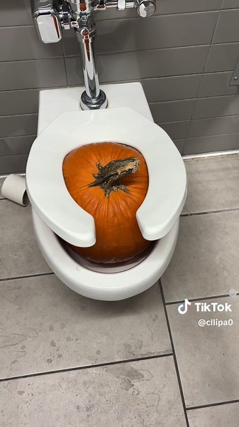 Toilet Ambassador on TikTok
