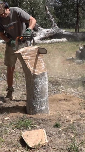 1.7K views · 33 reactions | This kookaburra may not laugh, but it’s...