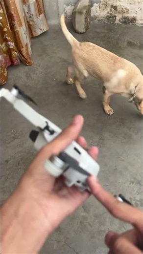 🔥 dji mini 2 drone setup like a perfect