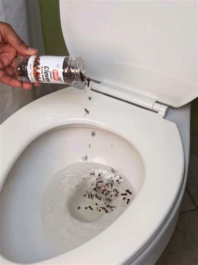 How To Make Your House Smell Incredible With Cloves