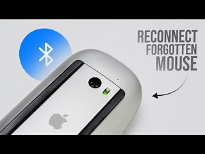 How to Reconnect Forgotten Device Magic Mouse (tutorial)