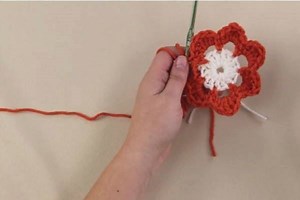 13K views · 172 reactions | Spring is getting closer *fingers crossed* so let's get ready by learning how to work up this simple two-color flower. You can find the full tutorial along with a few more flower tutorials on this page: https://www.allfreecrochet.com/Crochet-Flower-Patterns/How-to-Crochet-Flowers | AllFreeCrochet | Facebook