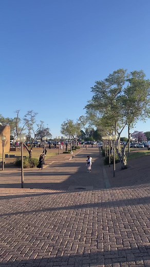 a bunch of random videos