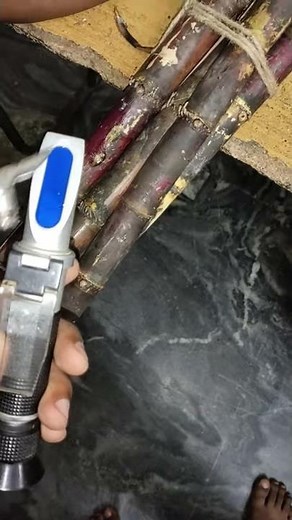 Refractometer use # Sugarcane sucrose level testing# function of refractometer