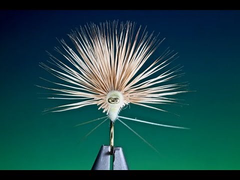 Fly Tying a PMD Comparadun dry fly with Barry Ord Clarke