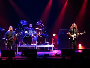 Zebra Concert & Tour History (Updated for 2025 - 2026) | Concert Archives