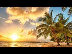 Reggae Music Mix 10 Hours