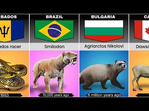 Extinct Animals From Different Countries