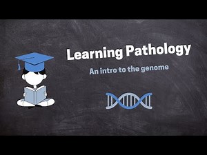 Pathology Introduction Lecture