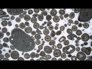 Limestone Classification