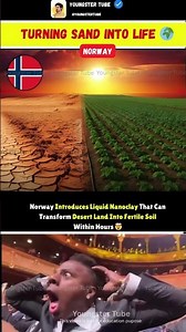 They Turned Desert Sand Into Real Soil… In Just Hours 😳🌱