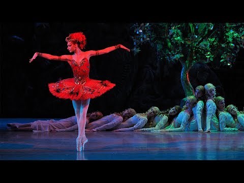 Rite of Spring • Firebird | Stravinsky & The Ballets Russes | Mariinsky 2008 (DVD/Blu-ray trailer)