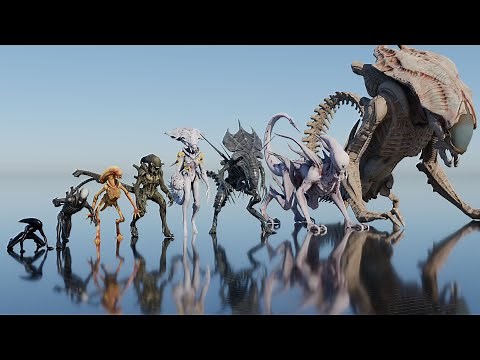 Xenomorph Size Comparison