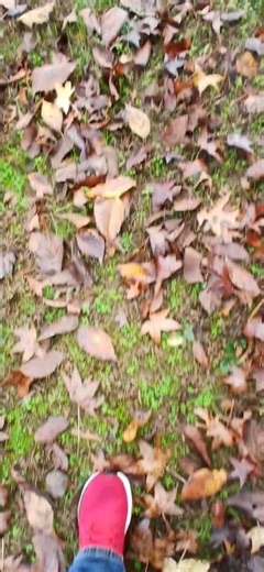 walking through shallow leaves with keys rattling sound effect