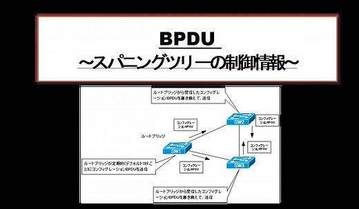 BPDU ～スパニングツリーの制御情報～ | ネットワークのおべんきょしませんか？