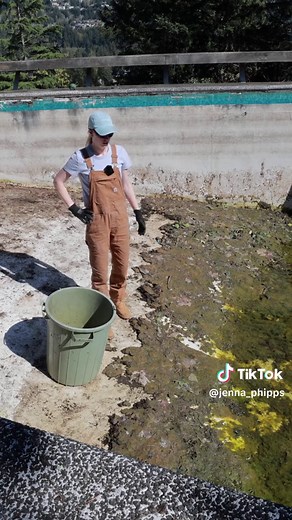 Guide to Clean an Abandoned Pool