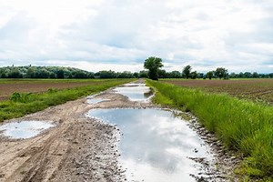 How to Reduce Water in Clay Soil: Help It Drain